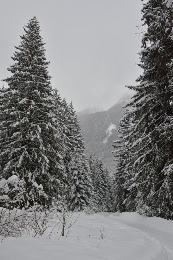 Hotel Kranebitt Val di Vizze Bagian luar foto